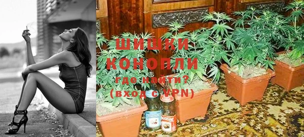 дживик Болохово