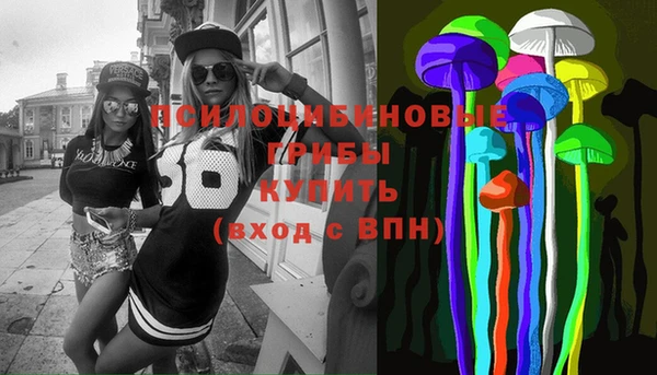 дживик Болохово